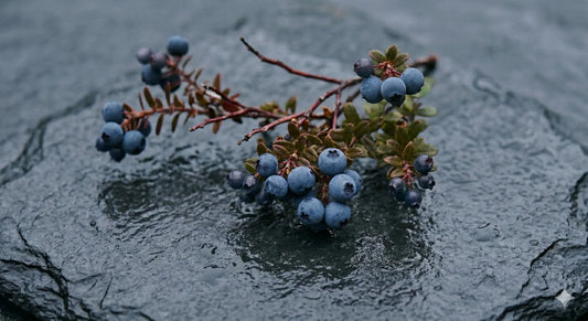 Co se děje ve vašich střevech, rozhoduje i o vaší mysli - gfBar